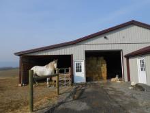 Horse Barn and Stable